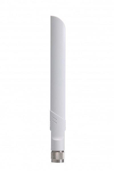 ANT-WDB-ANM-0306